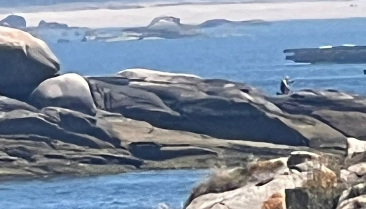 Una persona aguarda en unas rocas del litoral de Insuela a ser rescatado por el helicóptero de Salvamento Marítimo