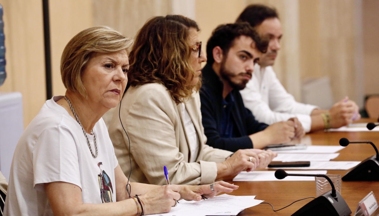 Pleno Vilagarcía