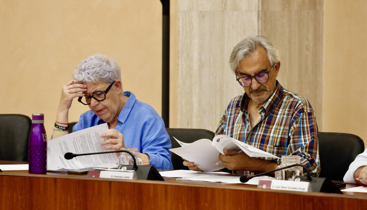 Pleno Vilagarcía