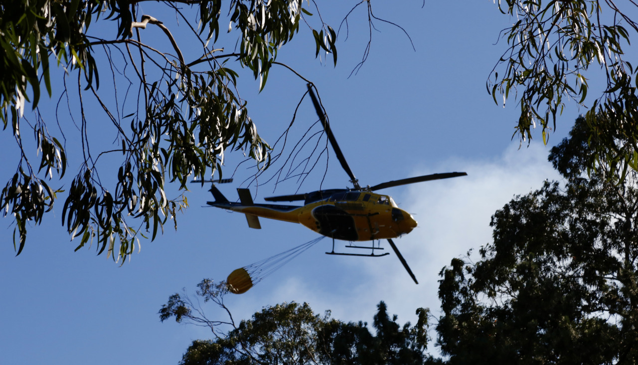 Incendio forestal