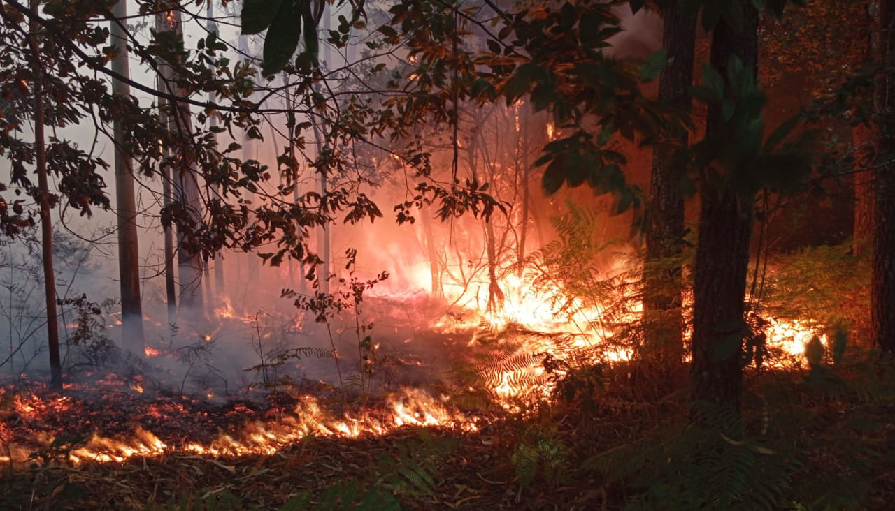 Incendio en Gontade