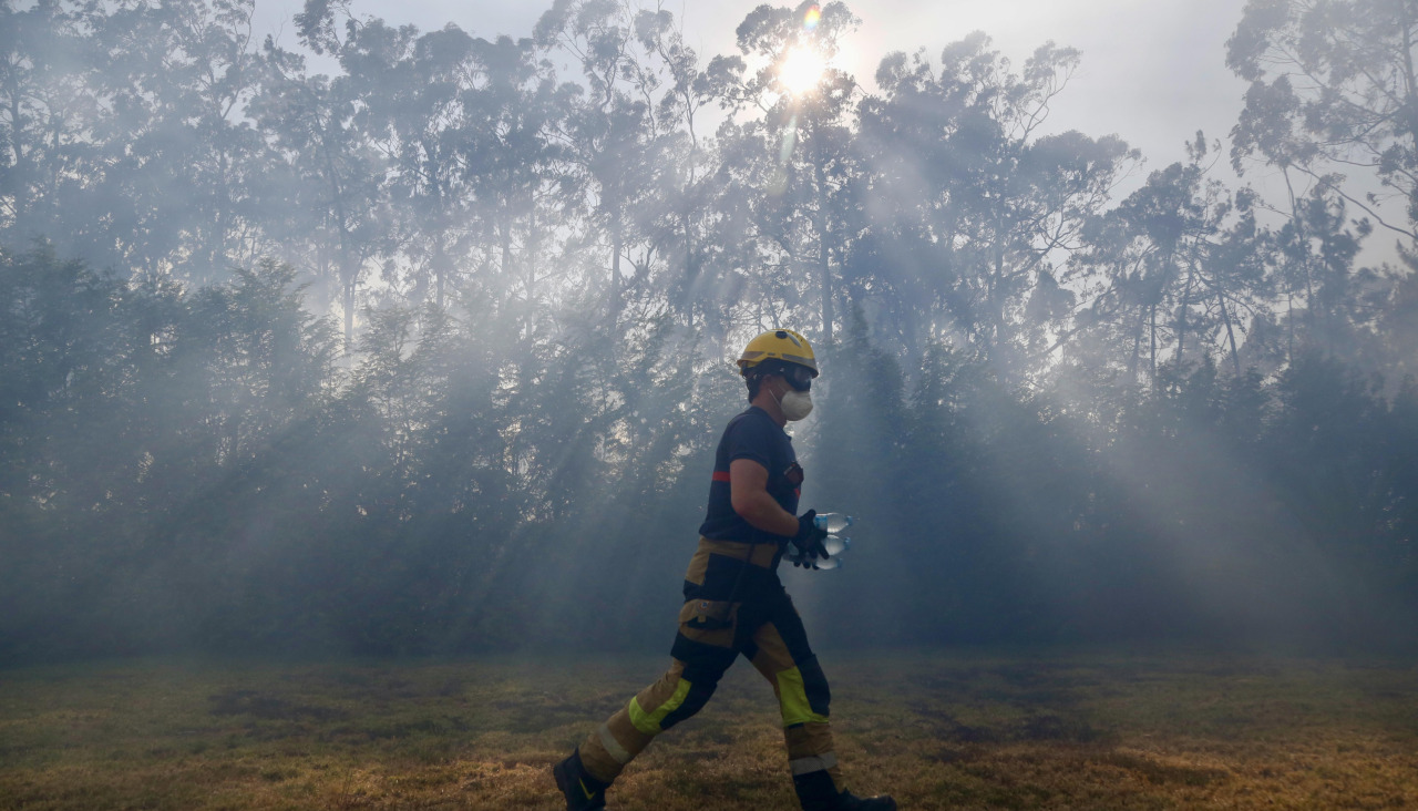 Un operario forestal durante los trabajos de extinción de un fuego