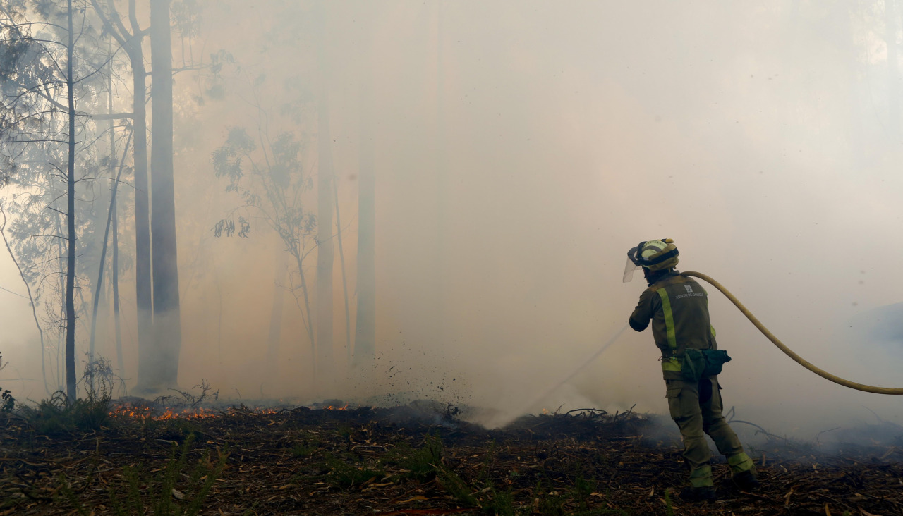 O obxectivo é previr e reducir os incendios forestais, como este acontecido na comarca