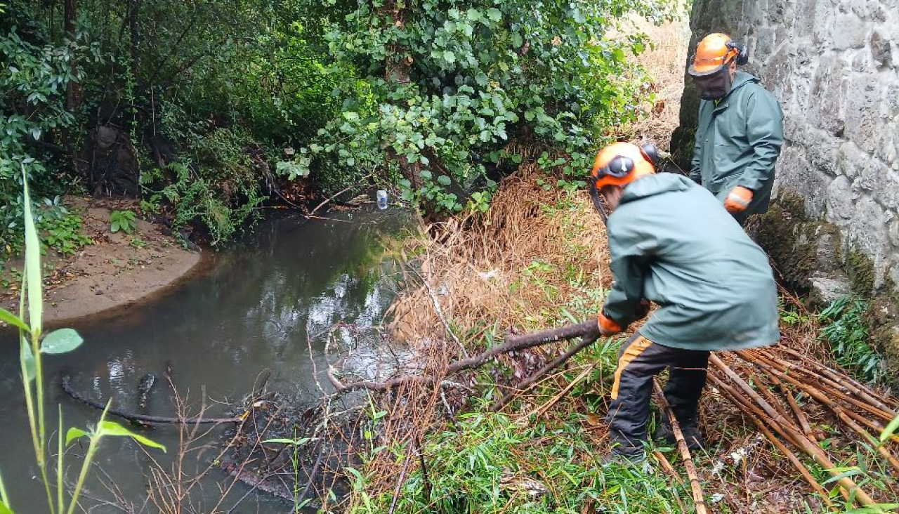Operarios durante os traballos na zona
