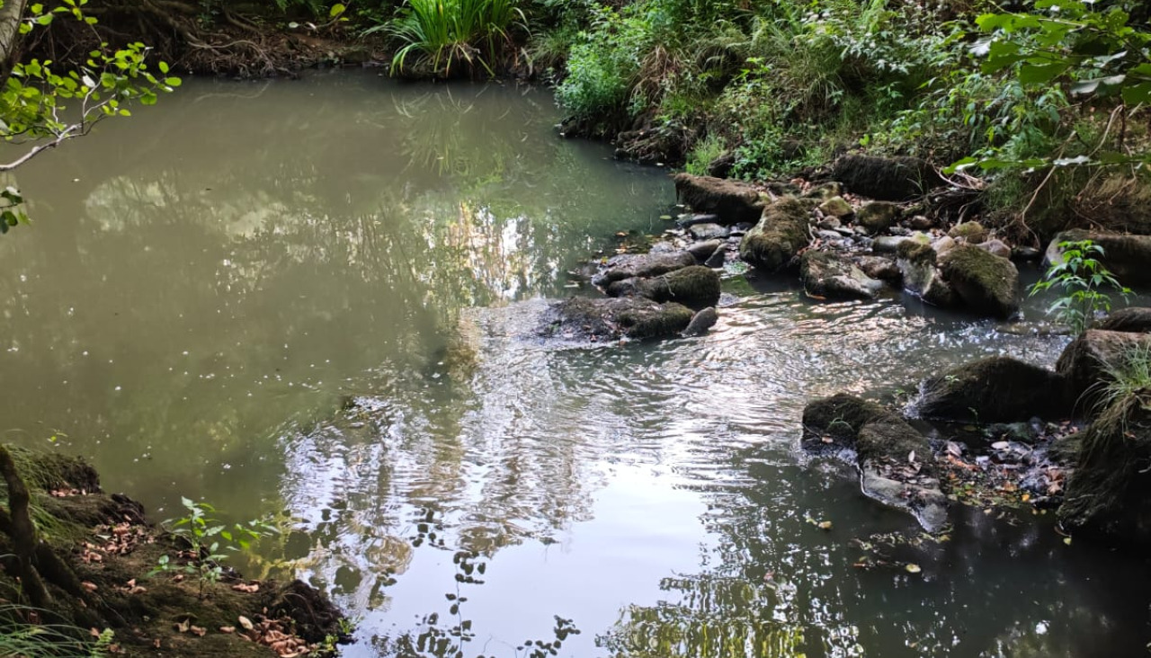 Imagen del río Gallo, en Cuntis