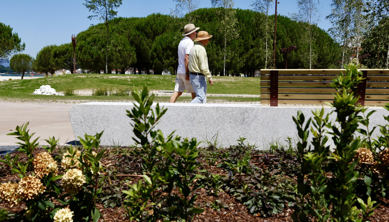 La firma debe ocuparse de hacer un seguimiento de las especies arbóreas y de las plantas