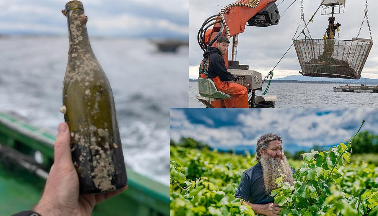 La aventura para extraer del mar el vino de crianza sumergida