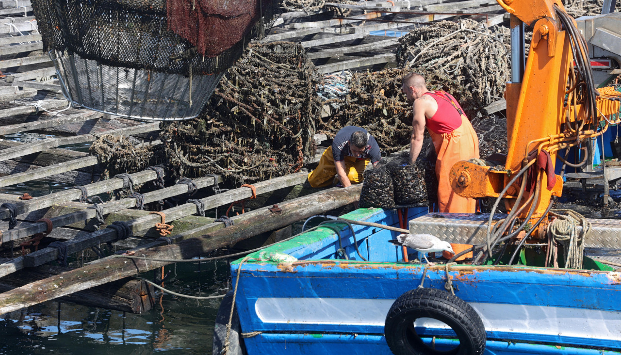 Imagen de archivo de dos personas trabajando en una batea en la Ría de Arousa