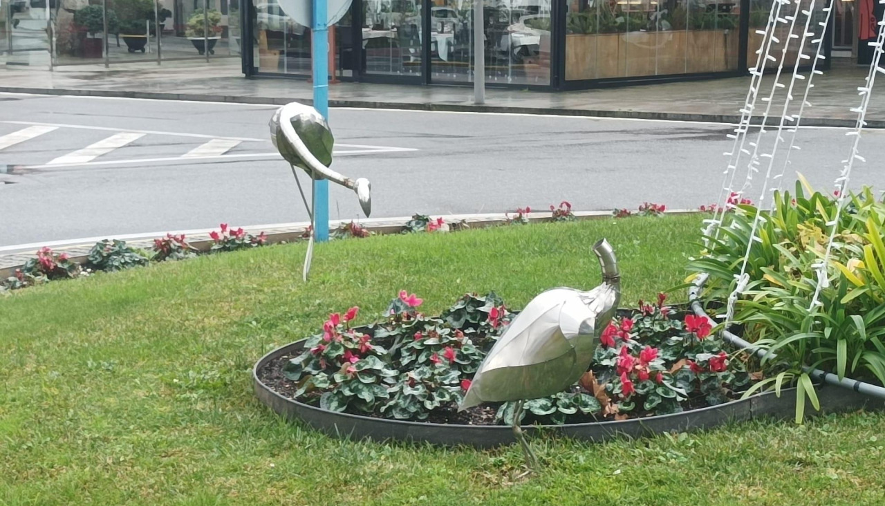 Una de las garzas decapitada en otro acto vandálico en la localidad