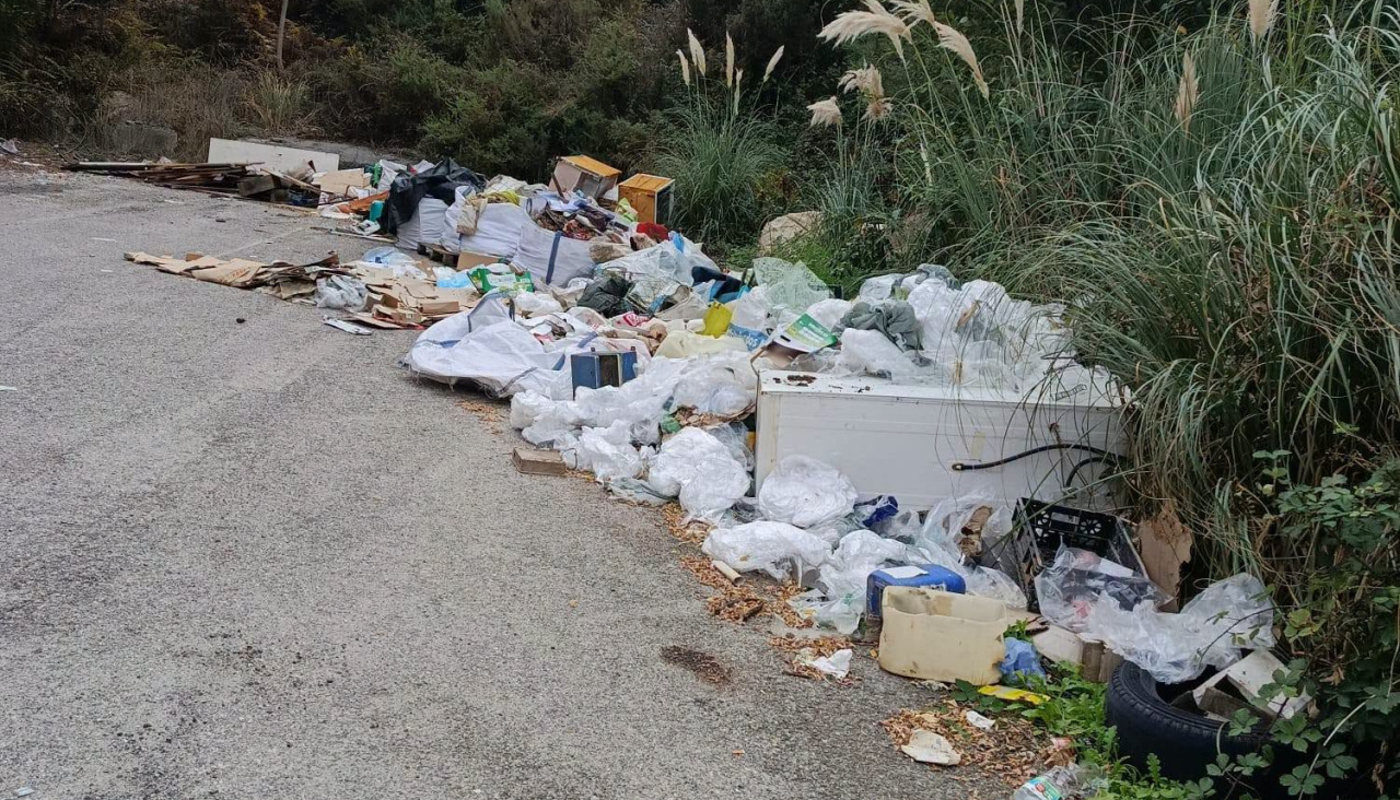 basura meis