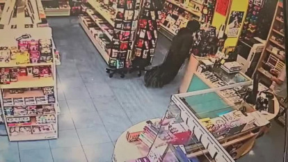 Imágenes del robo en una librería de Sanxenxo cedidas por la Guardia Civil