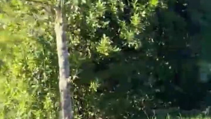 VID-20260706-WA0004