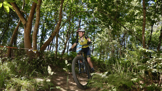 Mini BTT