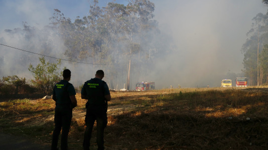 Incendio forestal