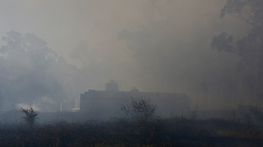 Incendio forestal