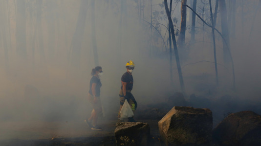 Incendio forestal