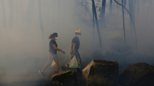Incendio forestal