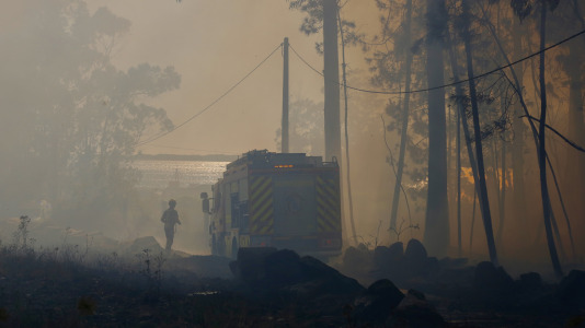 Incendio forestal