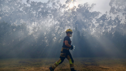 Incendio forestal