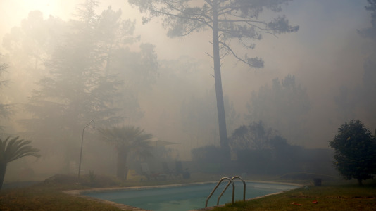 Incendio forestal