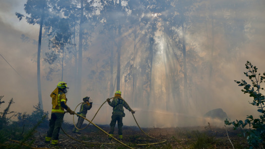 Incendio forestal