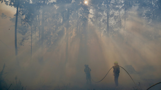 Incendio forestal