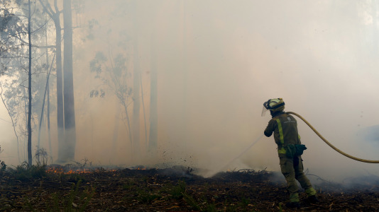Incendio forestal