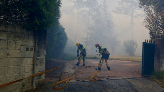 Incendio forestal