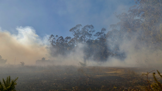 Incendio forestal