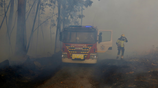Incendio forestal