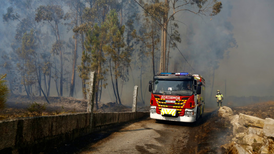 Incendio forestal