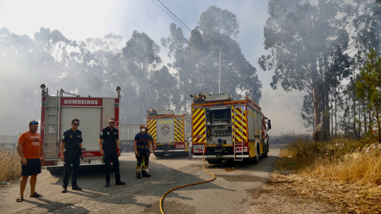 Incendio forestal