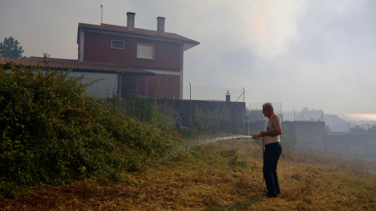 Incendio forestal