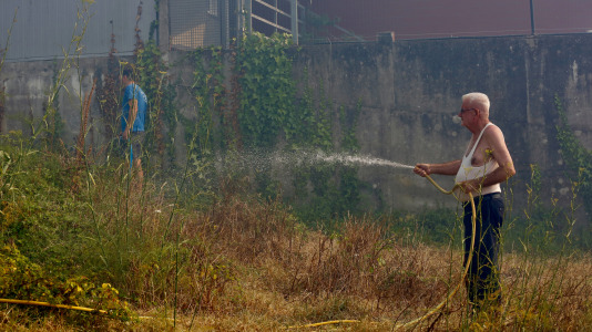 Incendio forestal