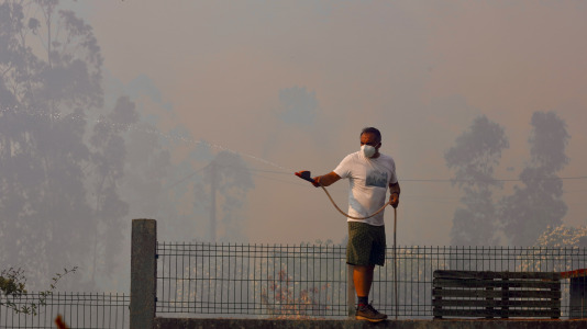 Incendio forestal