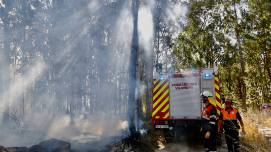 Incendio forestal