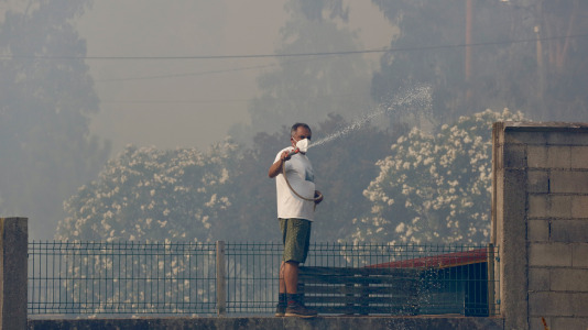 Incendio forestal