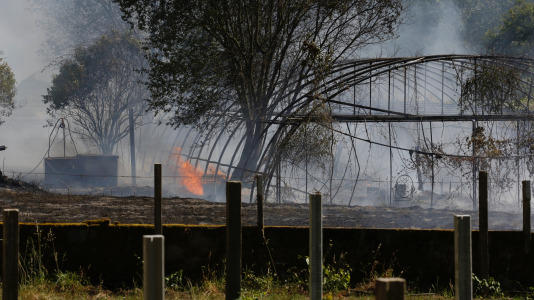 Incendio forestal