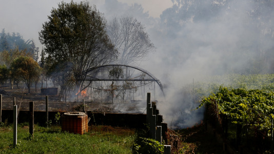 Incendio forestal