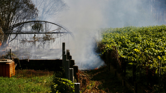 Incendio forestal