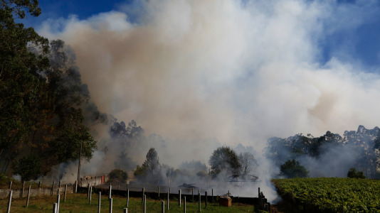 Incendio forestal
