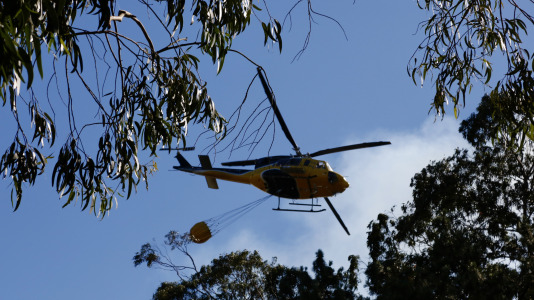 Incendio forestal