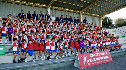Canteira Arlequinada