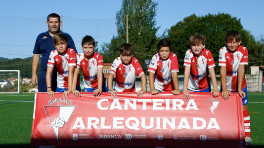 Canteira Arlequinada