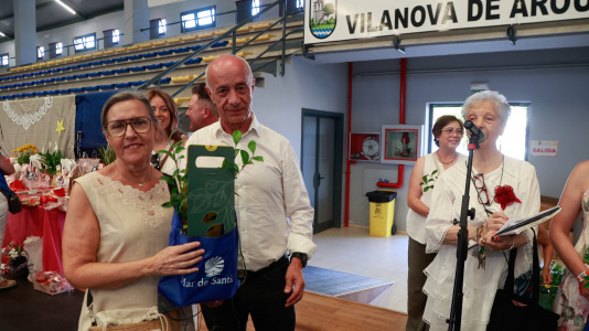 Encontro de palilleiras no pabellón de Vilanova de arousa