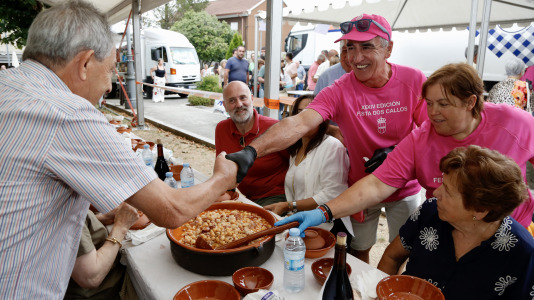Festa dos Callos