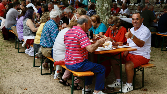 Festa dos Callos