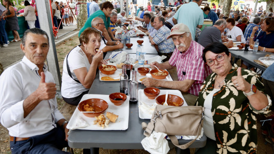 Festa dos Callos