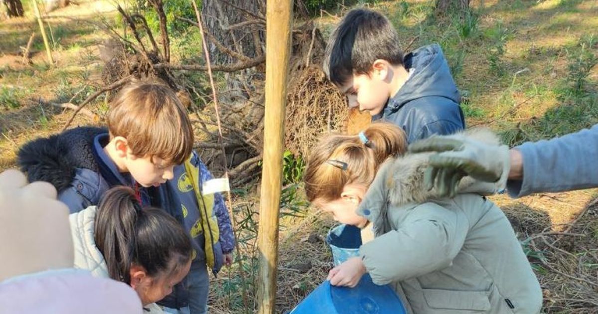 Niños, cariño y nuevos árboles en el monte de A Toxa para hacer felices ...